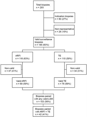 Prospective comparison of liver stiffness measurement methods in surveillance biopsies after liver transplantation